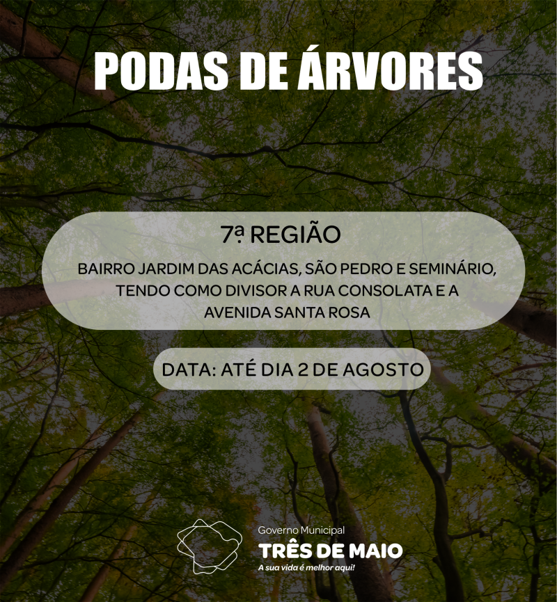 Podas de árvores: sétima região é autorizada a realizar os trabalhos